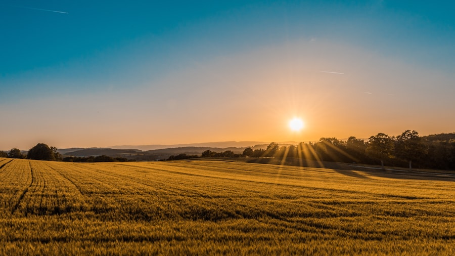 Open Spaces